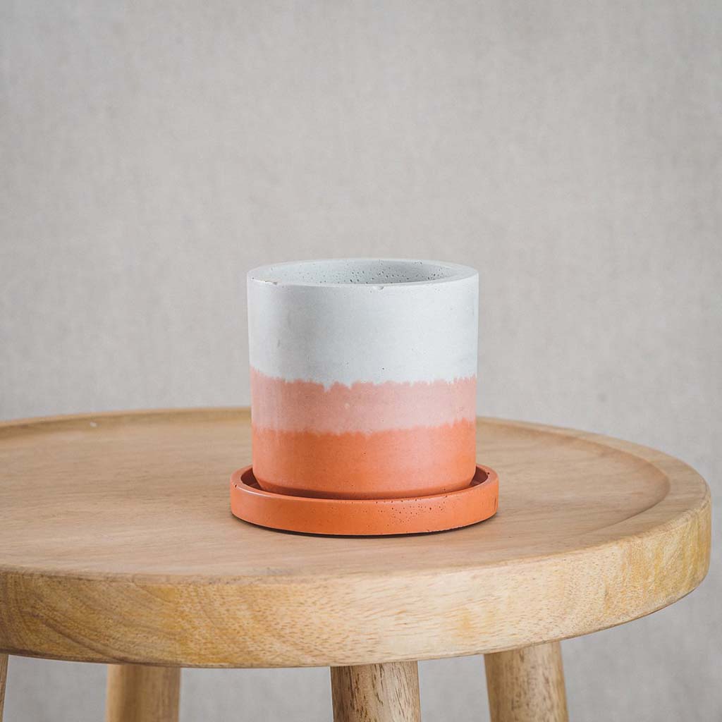 cord&iron concrete plant pot with rust colour plate tray in layered colours of rust ombre